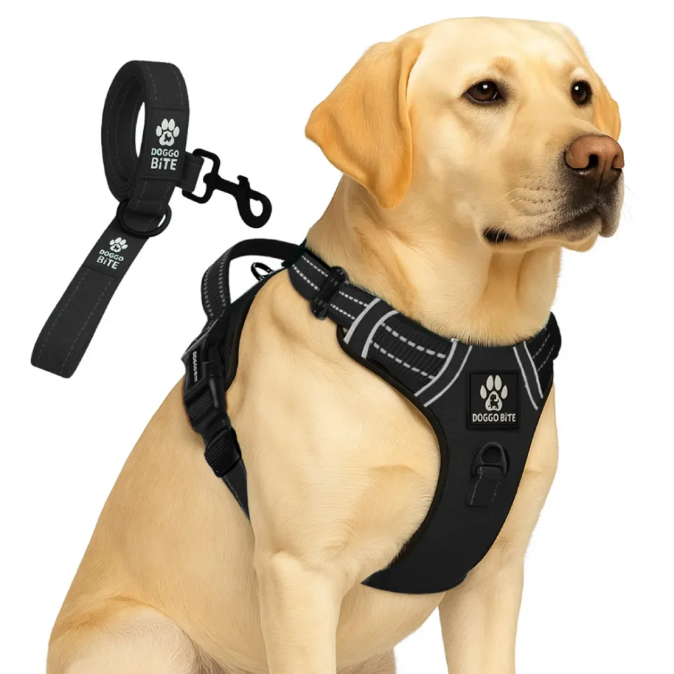 VETLORY dog harness and leash