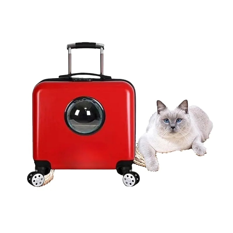 United Arab Emirates pet accessories market: a guide for exporters