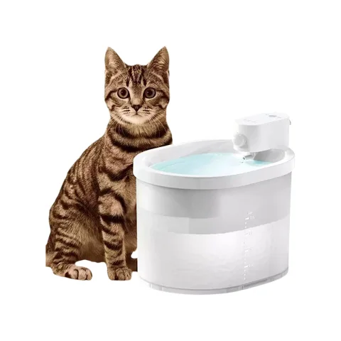 Auto Water Fountain For Drinking