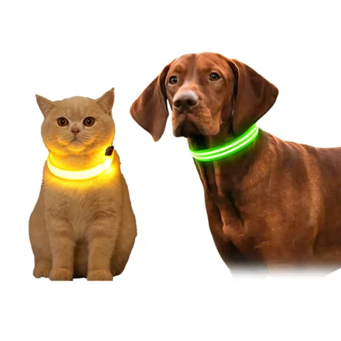 Cat / Dog LED Collar Large