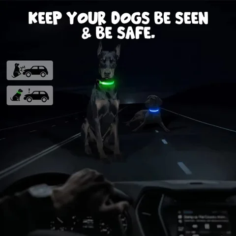 Cat / Dog LED Collar Large - view 2