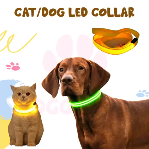 Cat / Dog LED Collar. Medium - view 4