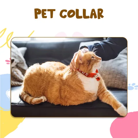 Cat / Puppy Collar 15 Mm - view 5