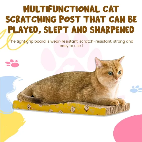Cat Scratching Board - view 3