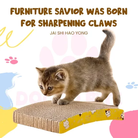 Cat Scratching Board - view 4