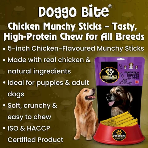 Chicken Rawhide Munchy Sticks 5 Inch For Dogs | VETLORY - view 2
