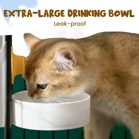 Pet Auto Feeder - view 5