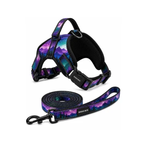 Premium Printed Star Body Belt Harness & Leash Set With Padded Control Handle And Strong Buckle