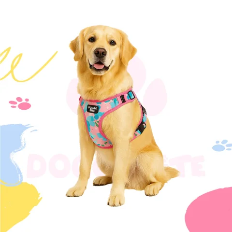 Printed Fancy Body Harness Large - view 4
