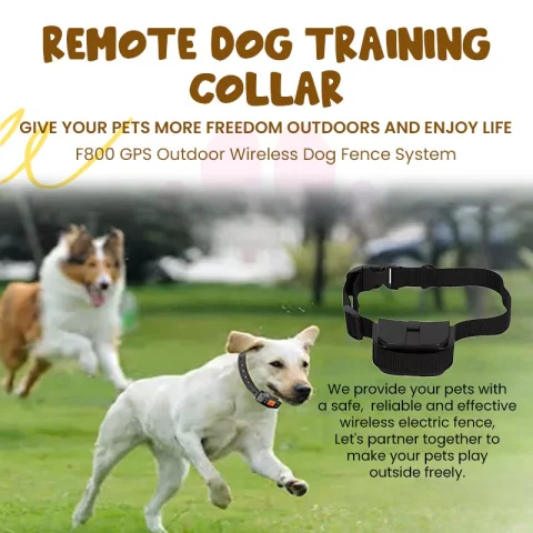 Remote Dog Training Collar - view 2