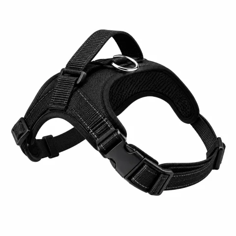 Star Body Belt Harness With Padded Control Handle And Strong Buckle
