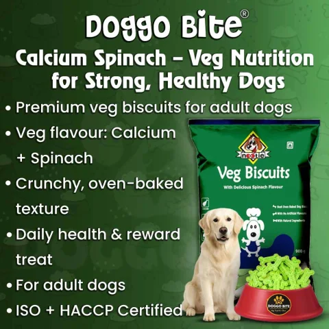 VETLORY Calcium Spinach Veg Flavor Crunchy Biscuits For Adult Dogs - view 2