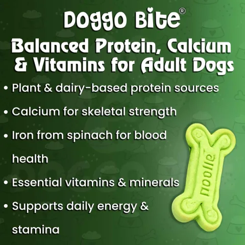 VETLORY Calcium Spinach Veg Flavor Crunchy Biscuits For Adult Dogs - view 4