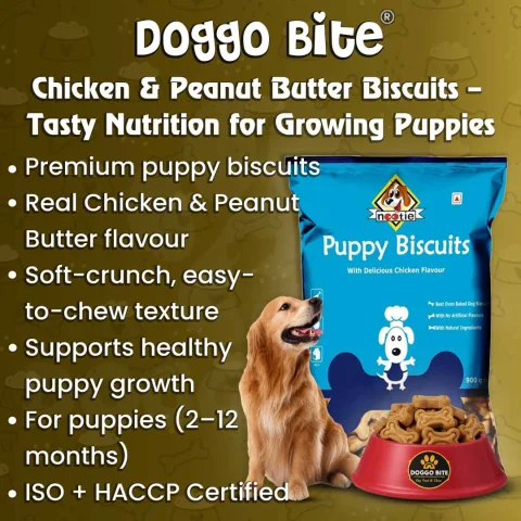 VETLORY Chicken Flavor Crunchy Biscuit Treat For Puppies 900 Gm - view 2