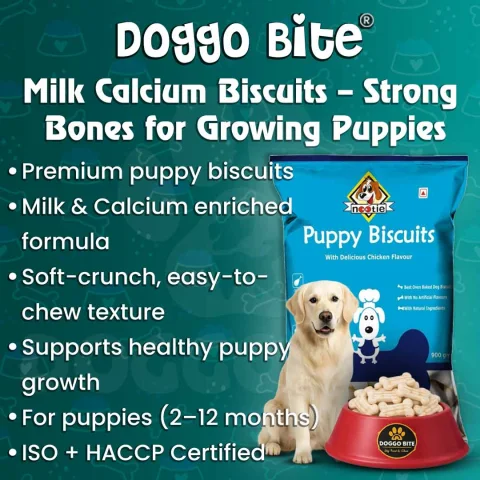 VETLORY Milk Calcium Flavor Crunchy Biscuits For Puppies - view 2
