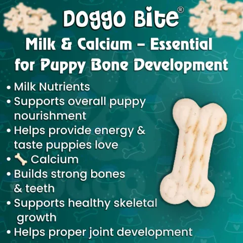 VETLORY Milk Calcium Flavor Crunchy Biscuits For Puppies - view 3