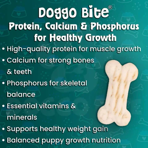 VETLORY Milk Calcium Flavor Crunchy Biscuits For Puppies - view 4