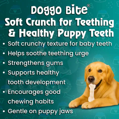 VETLORY Milk Calcium Flavor Crunchy Biscuits For Puppies - view 5