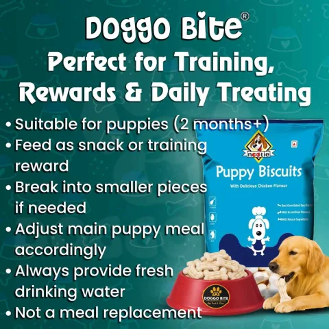 VETLORY Milk Calcium Flavor Crunchy Biscuits For Puppies - view 7