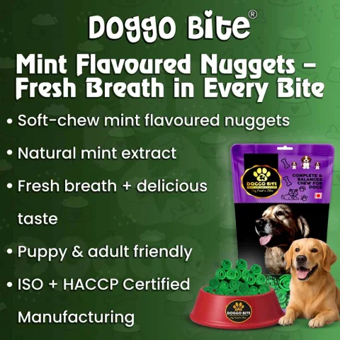 VETLORY Mint Flavored Rawhide Nuggets Dog Chew Treat - view 2
