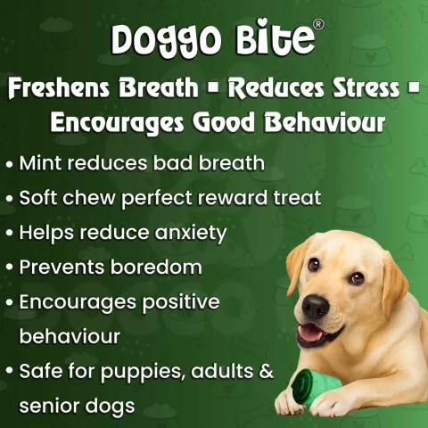 VETLORY Mint Flavored Rawhide Nuggets Dog Chew Treat - view 5