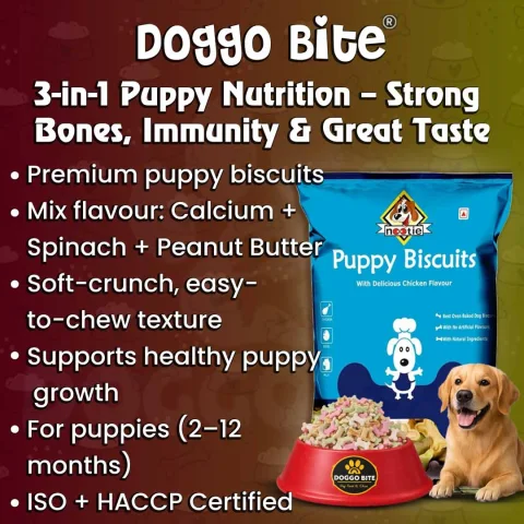 VETLORY Strawberry Spinach Milk Mix Flavor Puppy Biscuits 900 Gm - view 2