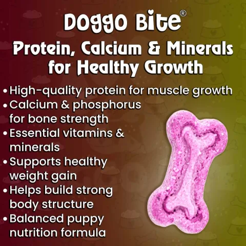 VETLORY Strawberry Spinach Milk Mix Flavor Puppy Biscuits 900 Gm - view 4