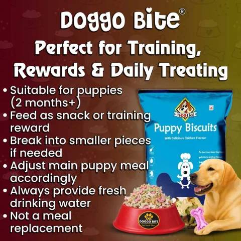VETLORY Strawberry Spinach Milk Mix Flavor Puppy Biscuits 900 Gm - view 7